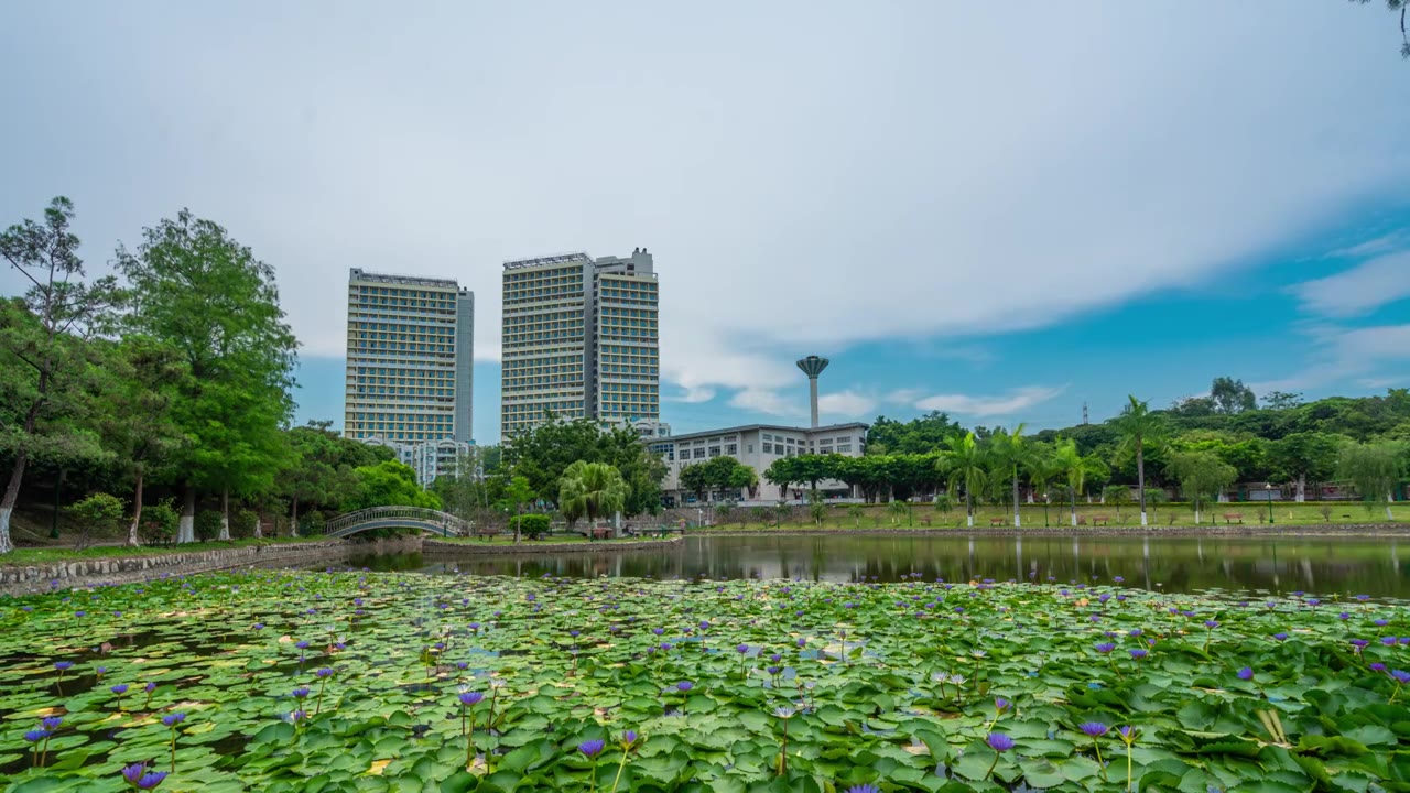 【正版素材】深圳职业技术学院西丽湖校区视频素材