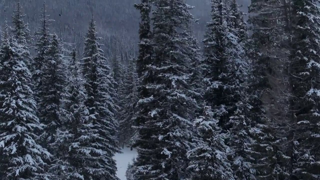 航拍新疆喀纳斯神仙湾雪景视频素材