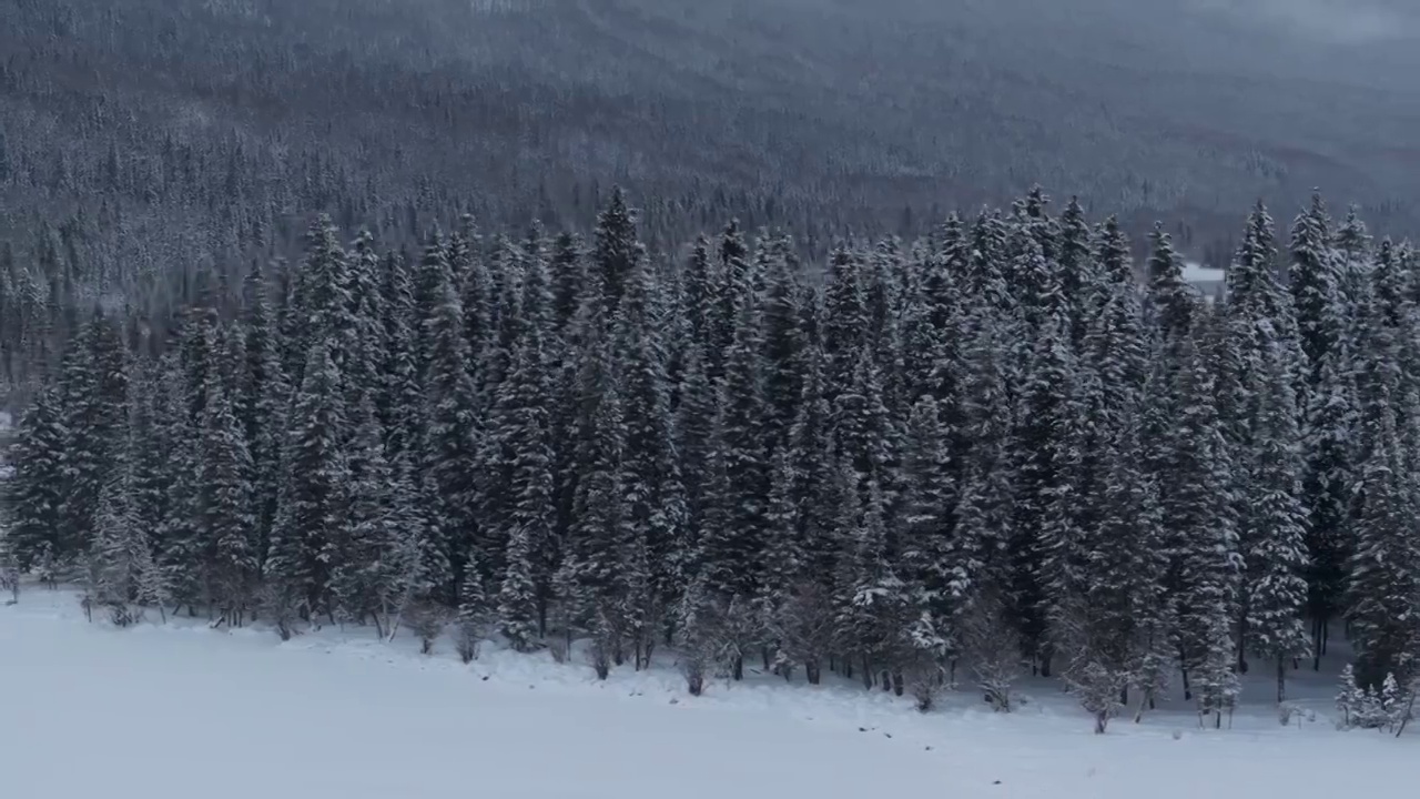 航拍新疆喀纳斯神仙湾雪景视频素材