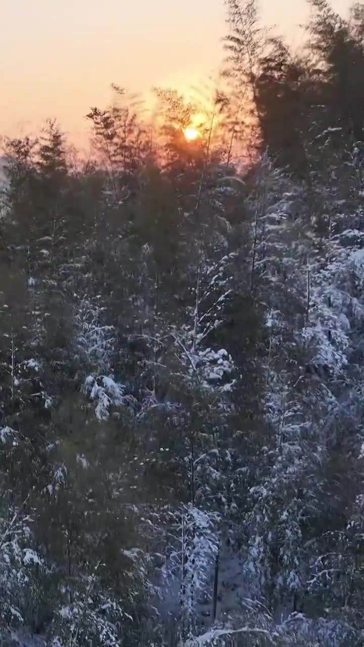 自然美,天空,户外,宁静,无人,白昼,树,风景,自然,地形,森林,云,天气,旅行,旅游,旅游目的地,视频素材