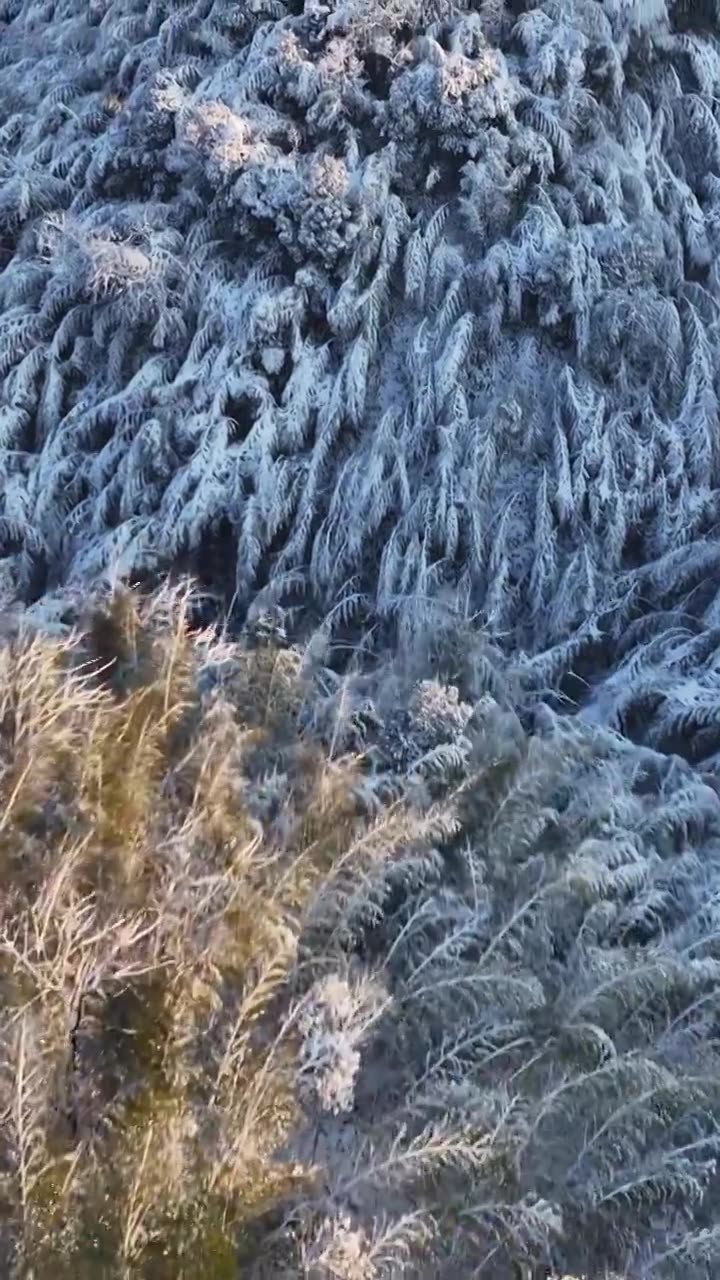 自然美,天空,户外,宁静,无人,白昼,树,风景,自然,地形,森林,云,天气,旅行,旅游,旅游目的地,视频素材