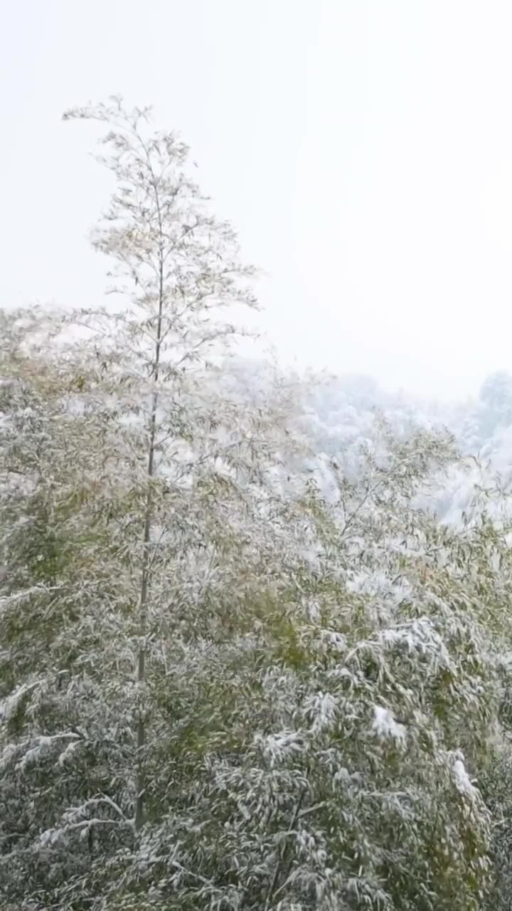 自然美,天空,户外,宁静,无人,白昼,树,风景,自然,地形,森林,云,天气,旅行,旅游,旅游目的地,视频素材