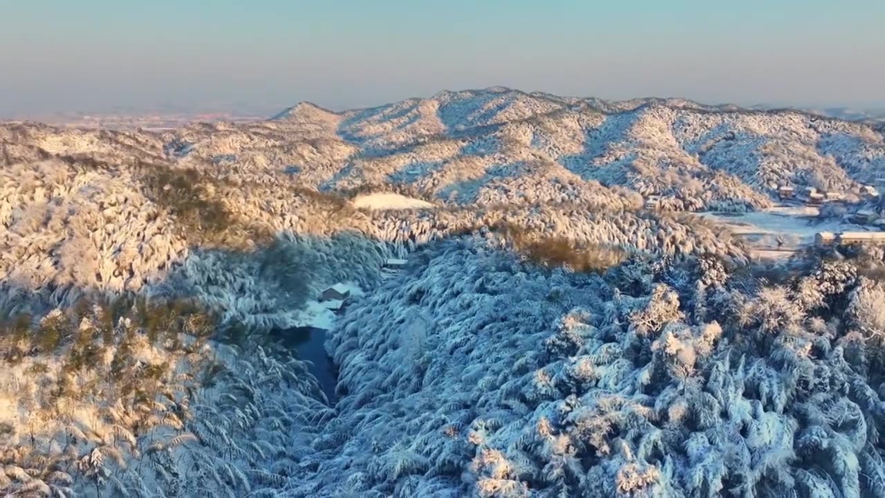 白昼,冬天,树,雪,寒冷,无人,天空,自然,树林,户外,森林,地形,风景,旅游目的地,旅行,高山,旅视频素材