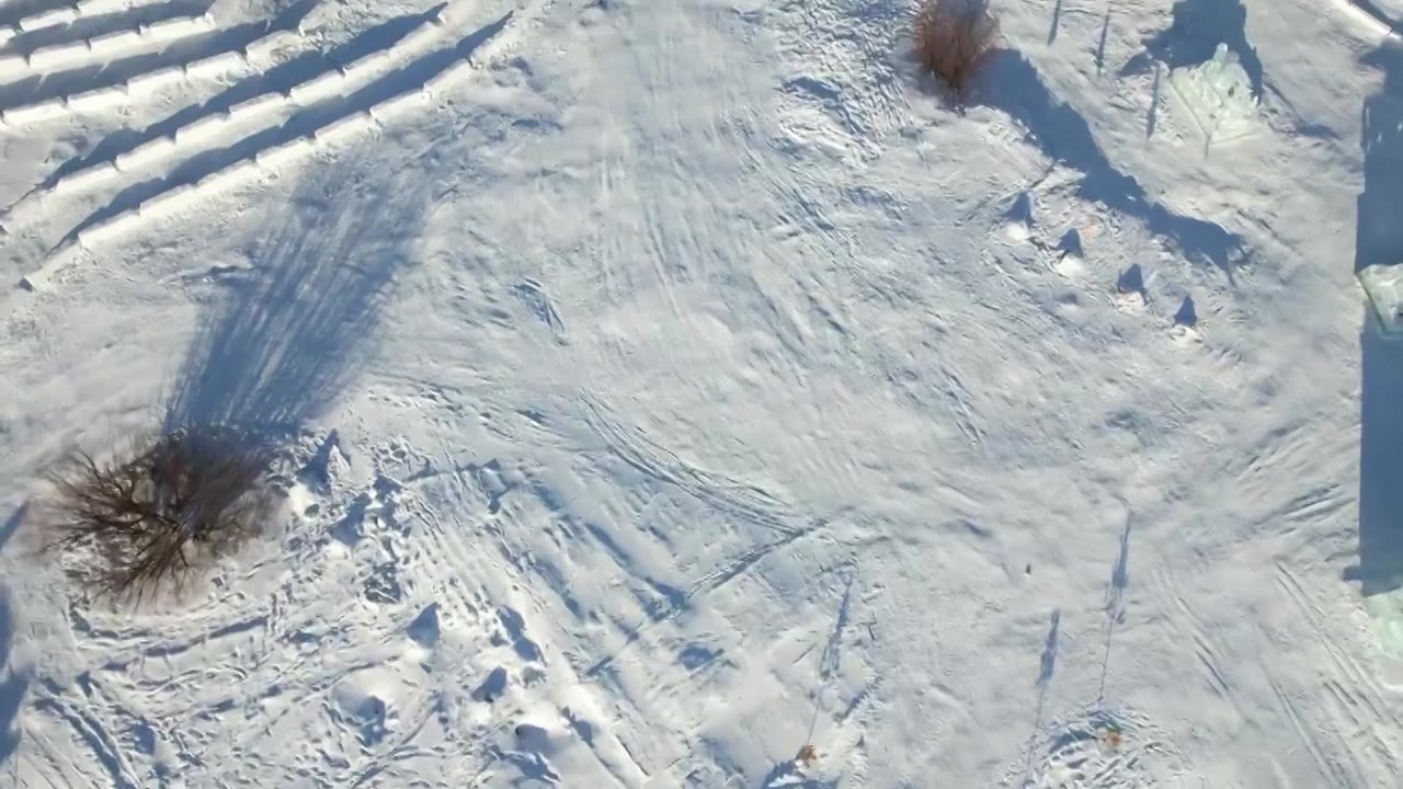 呼伦贝尔根河冷极村雪雕公园视频素材