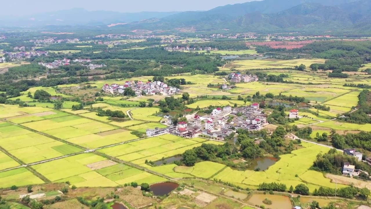 航拍江西吉安新圩镇稻田视频素材