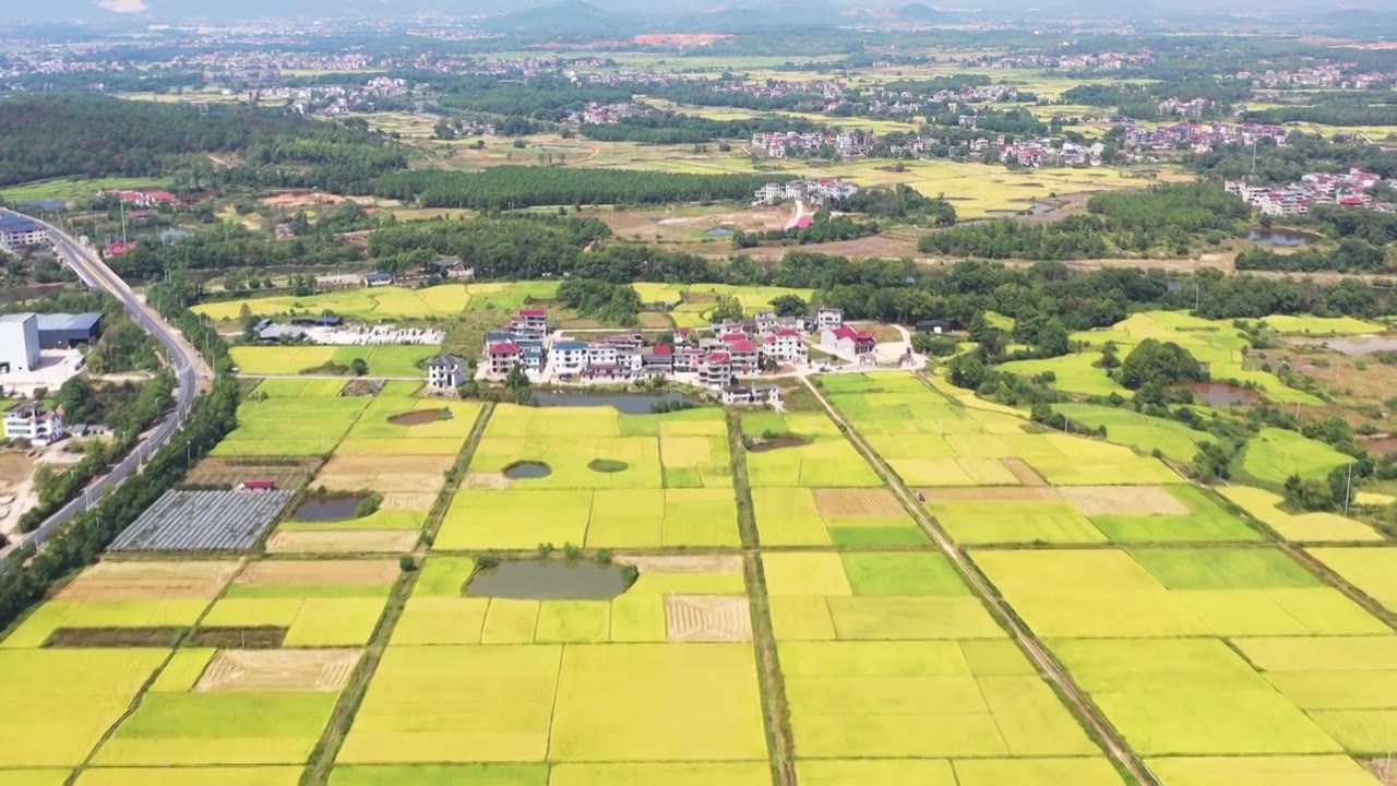 航拍江西吉安稻田视频素材