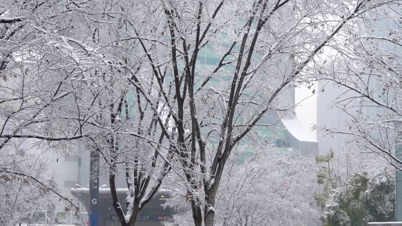 2024年武汉第一场大雪冻雨飘雪慢镜头视频素材