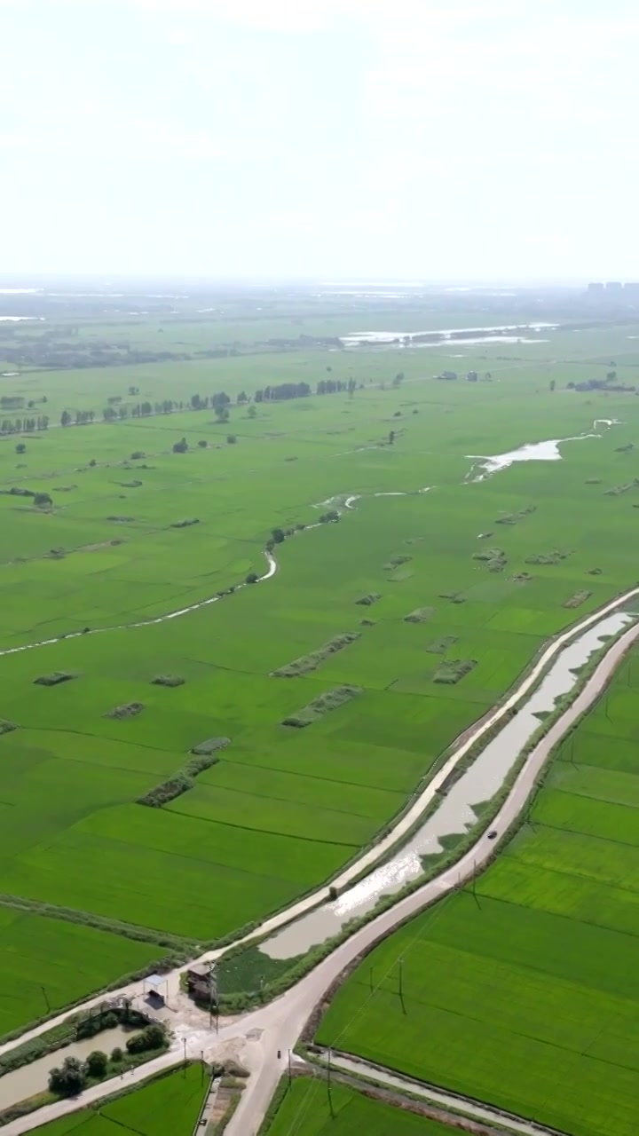 广东湛江雷州城乡结合部河北村上空航拍稻田视角视频素材