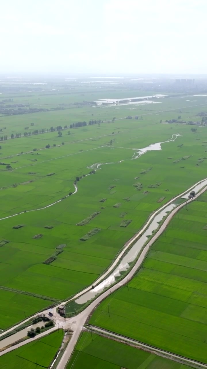 广东湛江雷州城乡结合部河北村上空航拍稻田视角视频素材