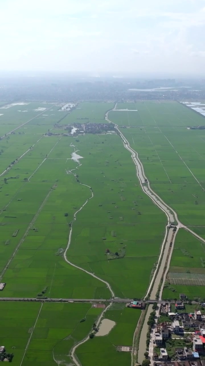 广东湛江雷州城乡结合部河北村上空航拍稻田视角视频素材