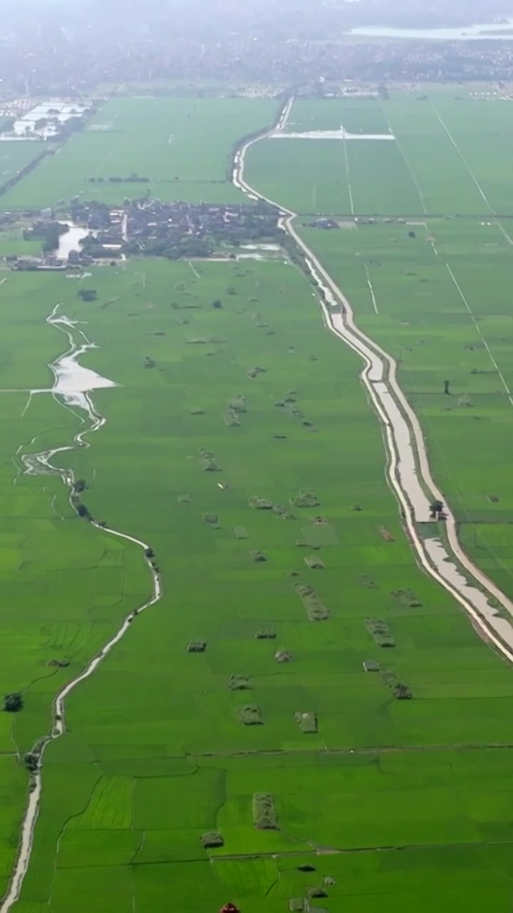 广东湛江雷州城乡结合部河北村上空航拍稻田视角视频素材