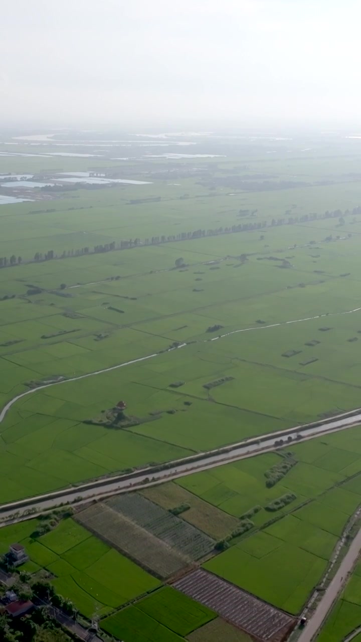 广东湛江雷州城乡结合部河北村上空航拍稻田视角视频素材