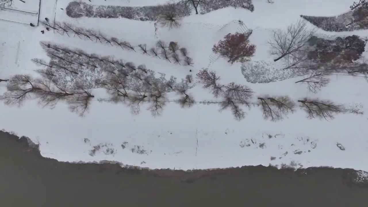 周口沙颍河湿地公园雪景视频素材