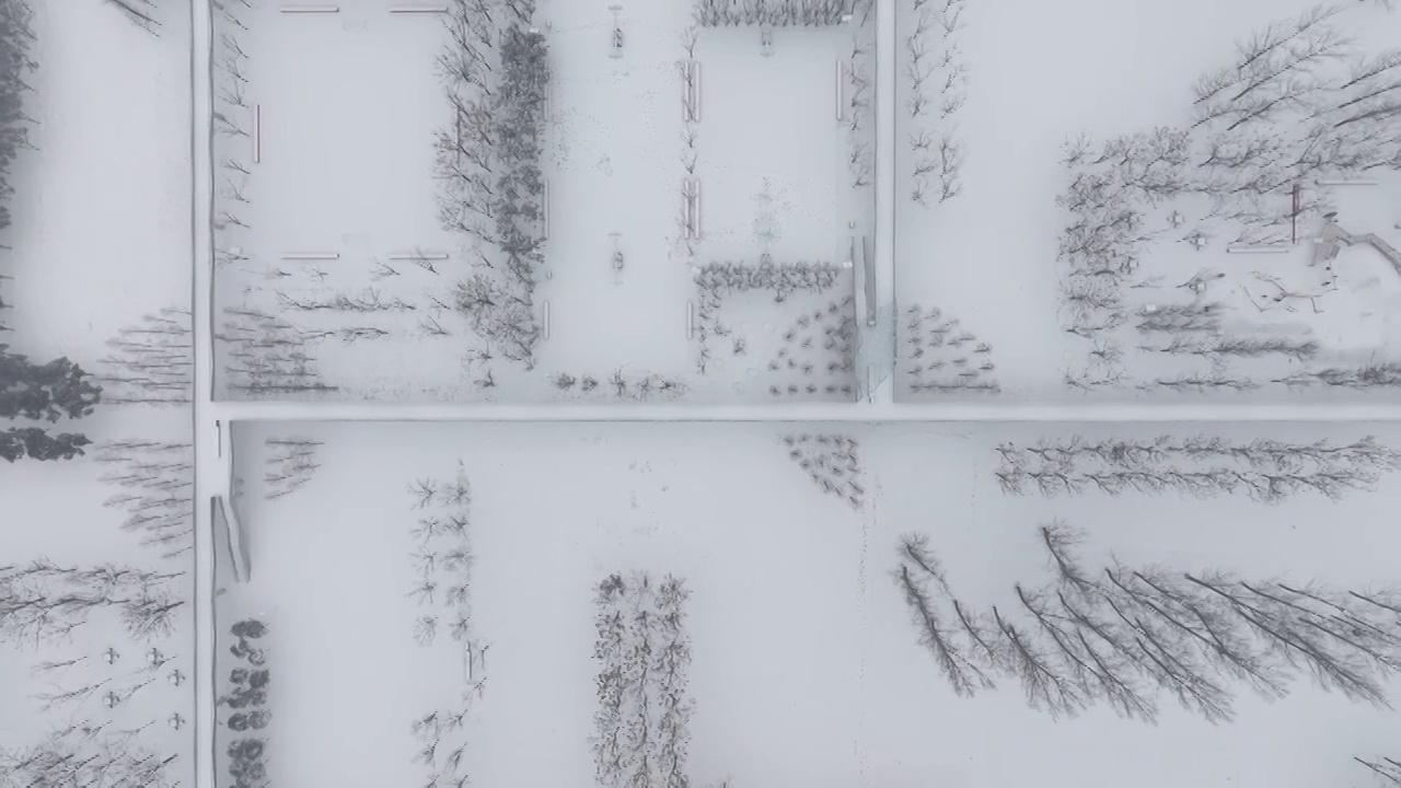 周口沙颍河湿地公园中原路段雪景视频素材