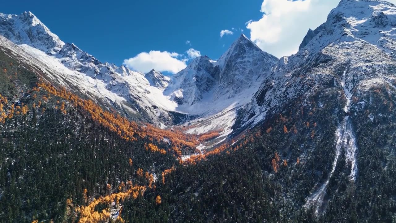 航拍秋天川西青藏高原雪山森林彩林视频素材