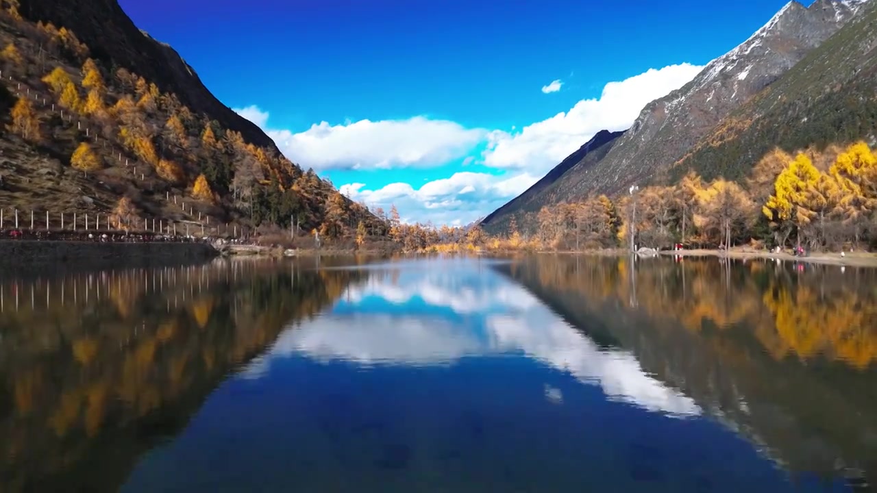 航拍秋天川西青藏高原毕棚沟森林彩林视频素材