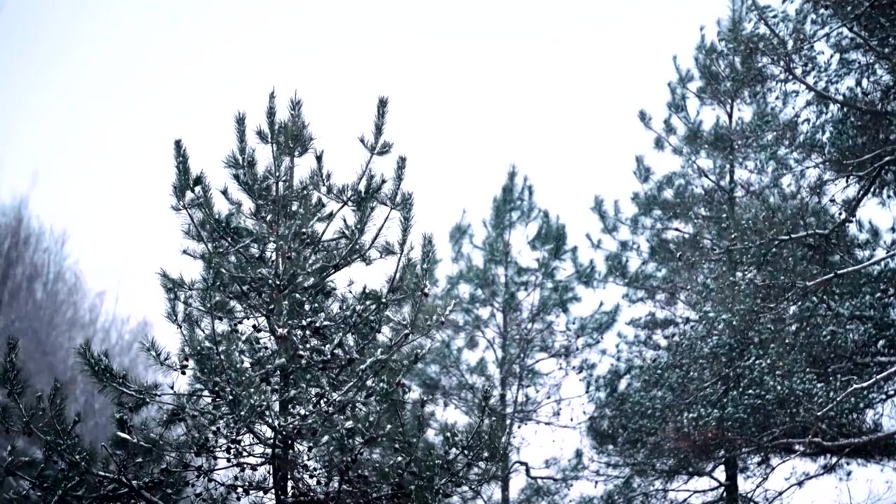 乡村农村冬天下雪视频素材