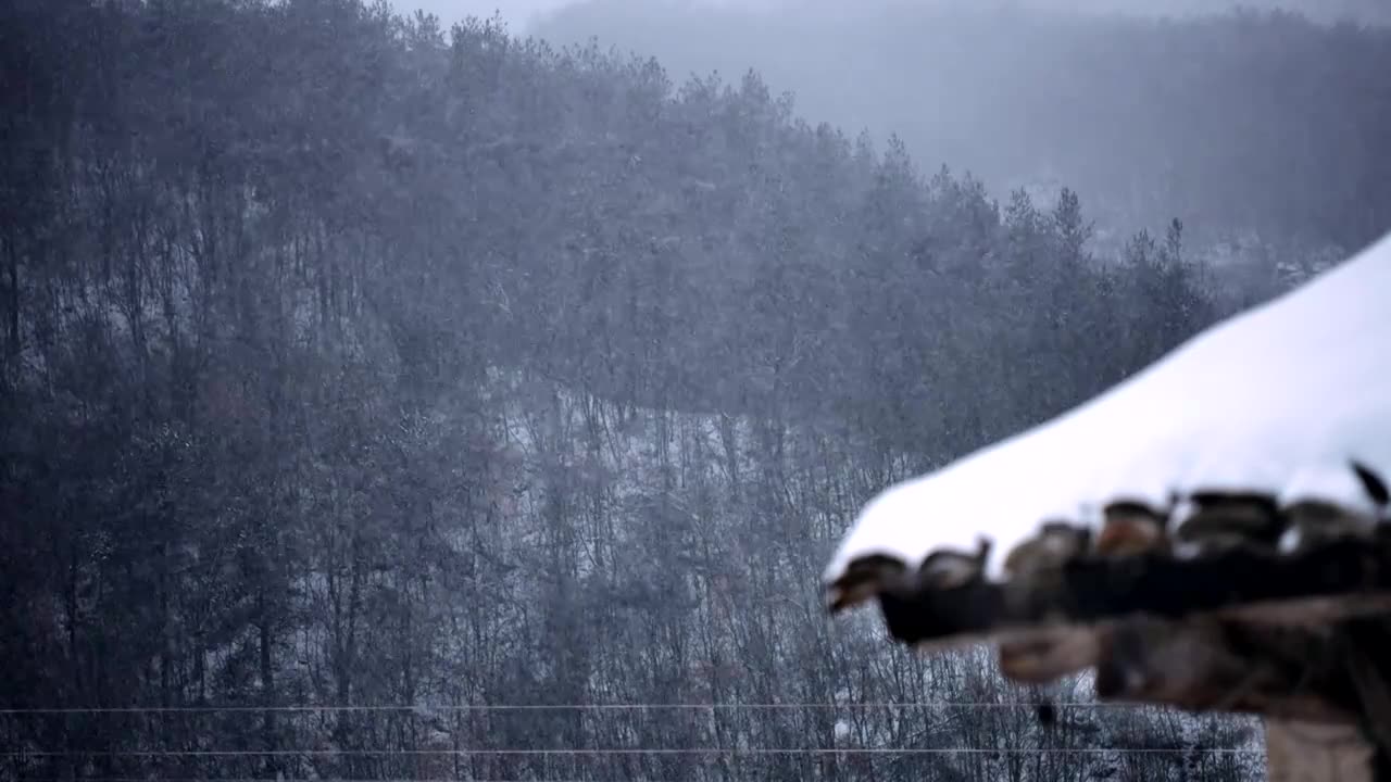 乡村农村冬天下雪视频素材