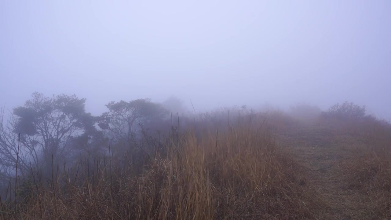 清晨高山大雾迷漫大风呼啸吹过四周白茫茫一片视频素材