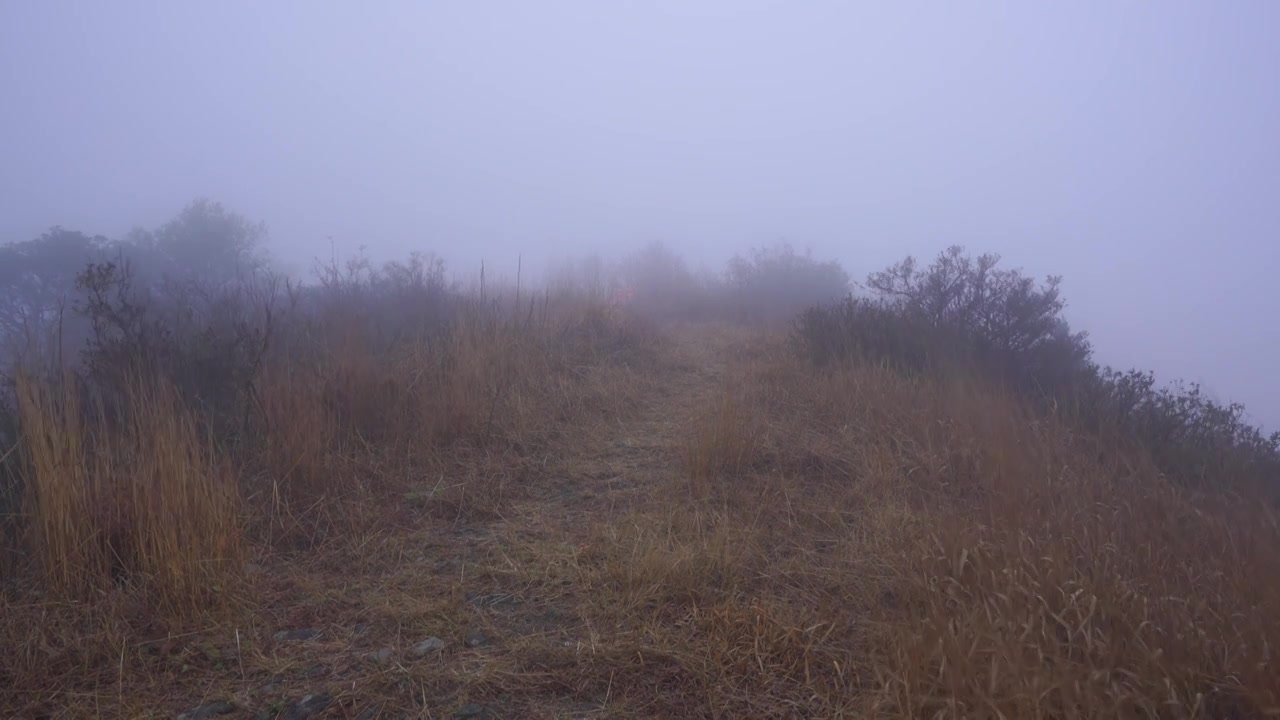 清晨高山大雾迷漫大风呼啸吹过四周白茫茫一片视频素材