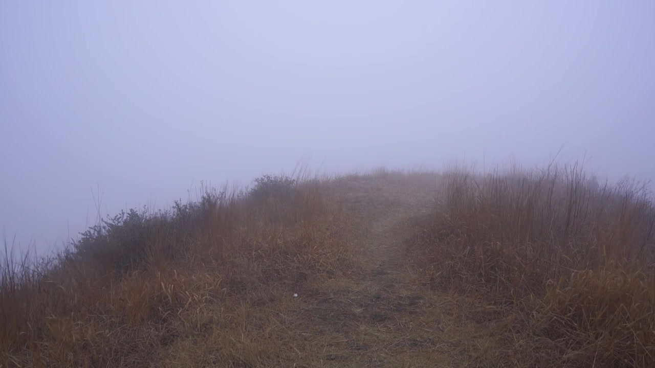 清晨高山大雾迷漫大风呼啸吹过四周白茫茫一片视频素材