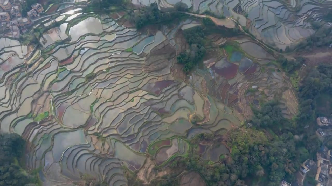 延时航拍云南元阳阿者科梯田的景色视频素材