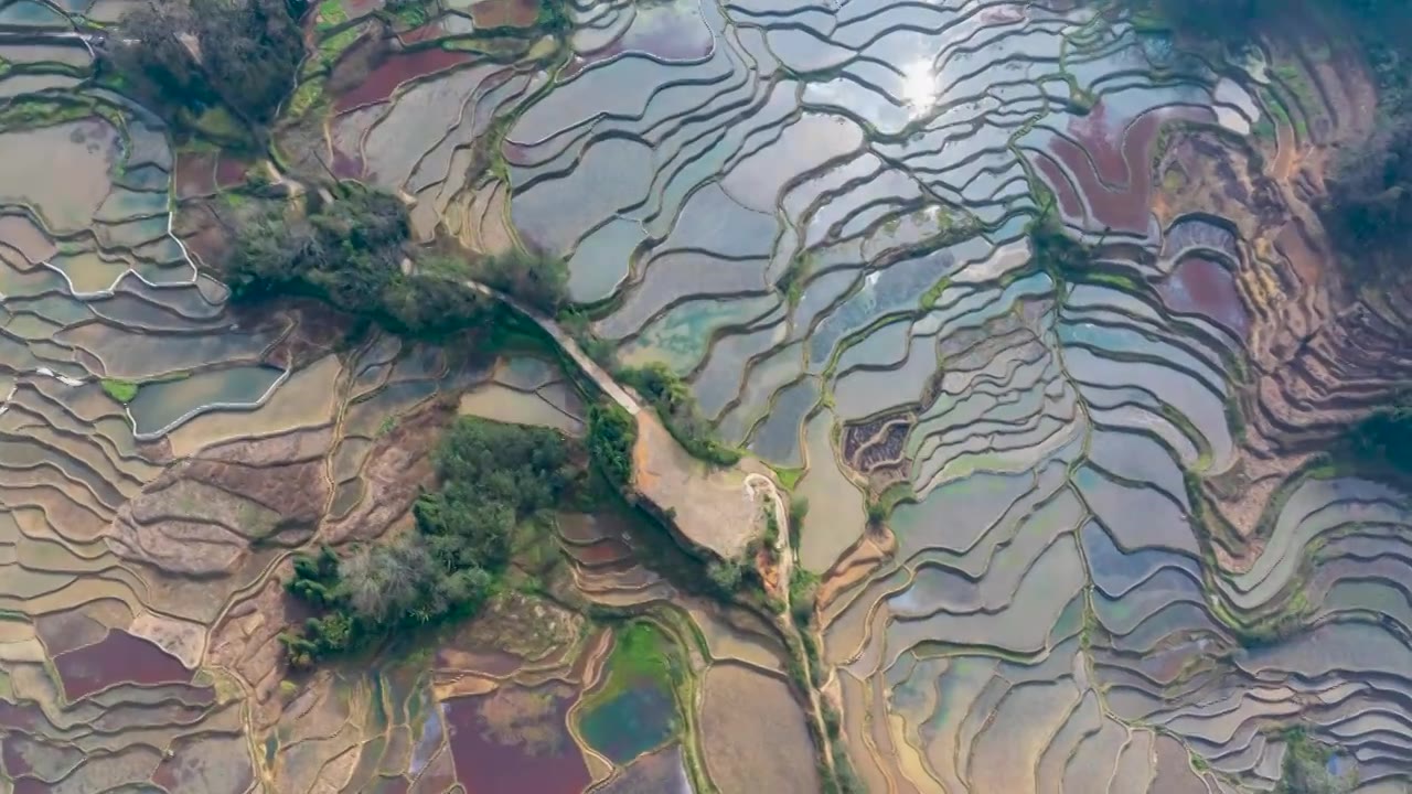 延时航拍云南元阳阿者科梯田的景色视频素材