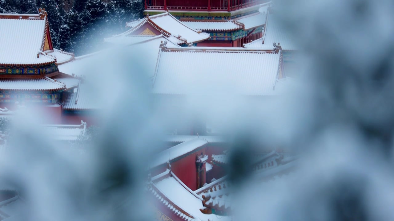 北京故宫紫禁城雪景视频素材