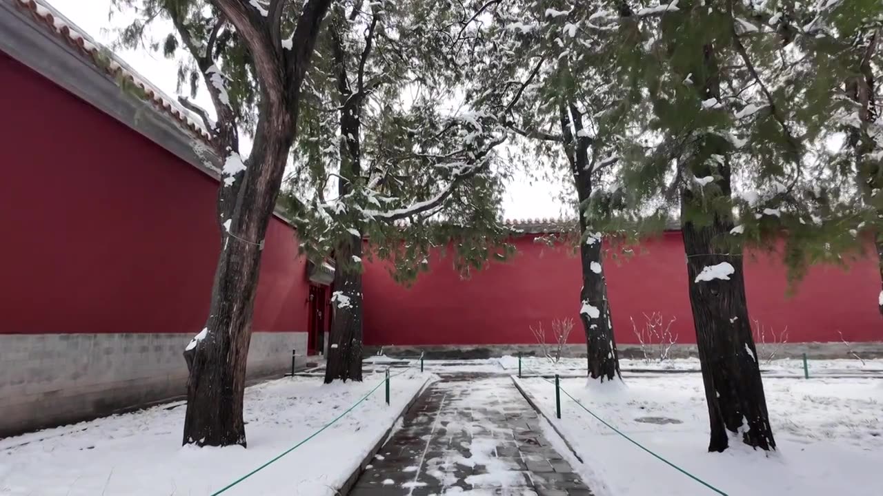 北京雪后中山公园红墙古树视频素材