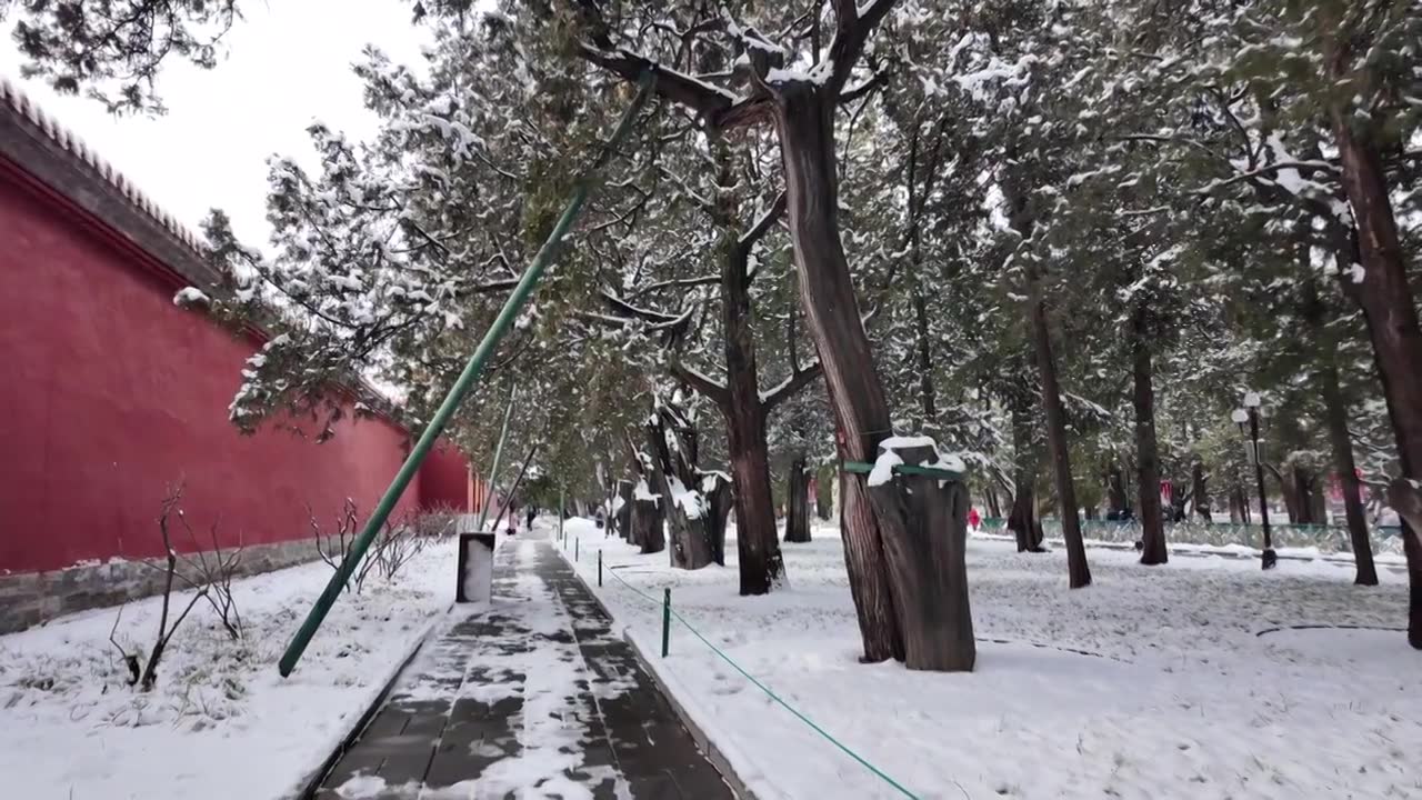 北京雪后中山公园红墙古树视频素材