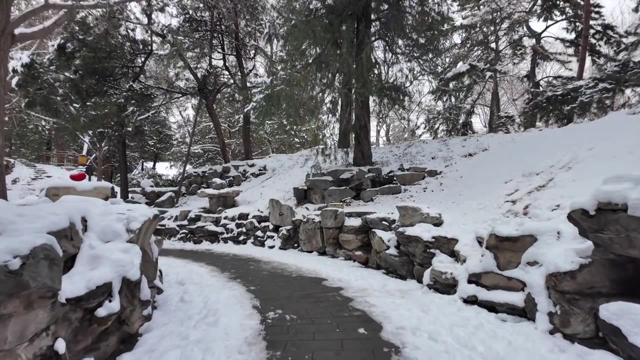 北京雪后北海公园中式园林建筑视频下载