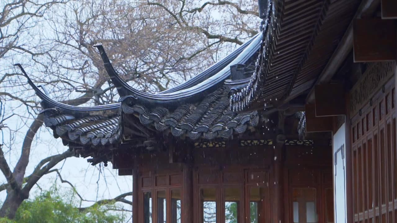 古典园林杭州西湖郭庄雨天梅花自然建筑风景视频素材