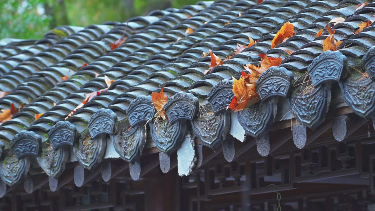 中国传统古典园林建筑杭州西湖郭庄雨天建筑风景视频素材