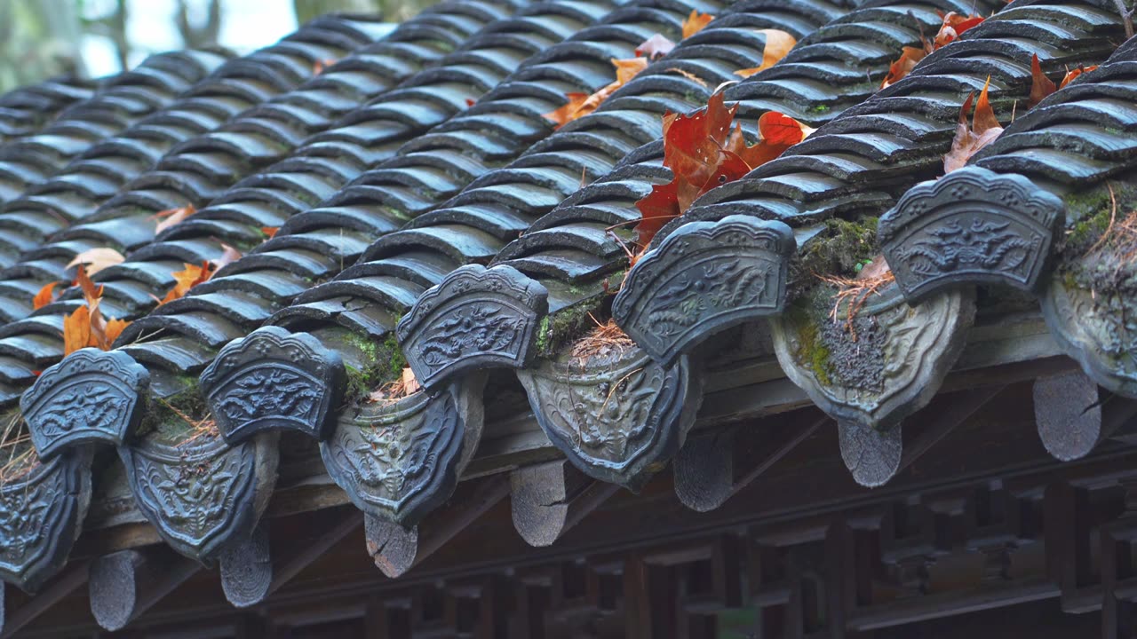 中国传统古典园林建筑杭州西湖郭庄雨天建筑风景视频素材