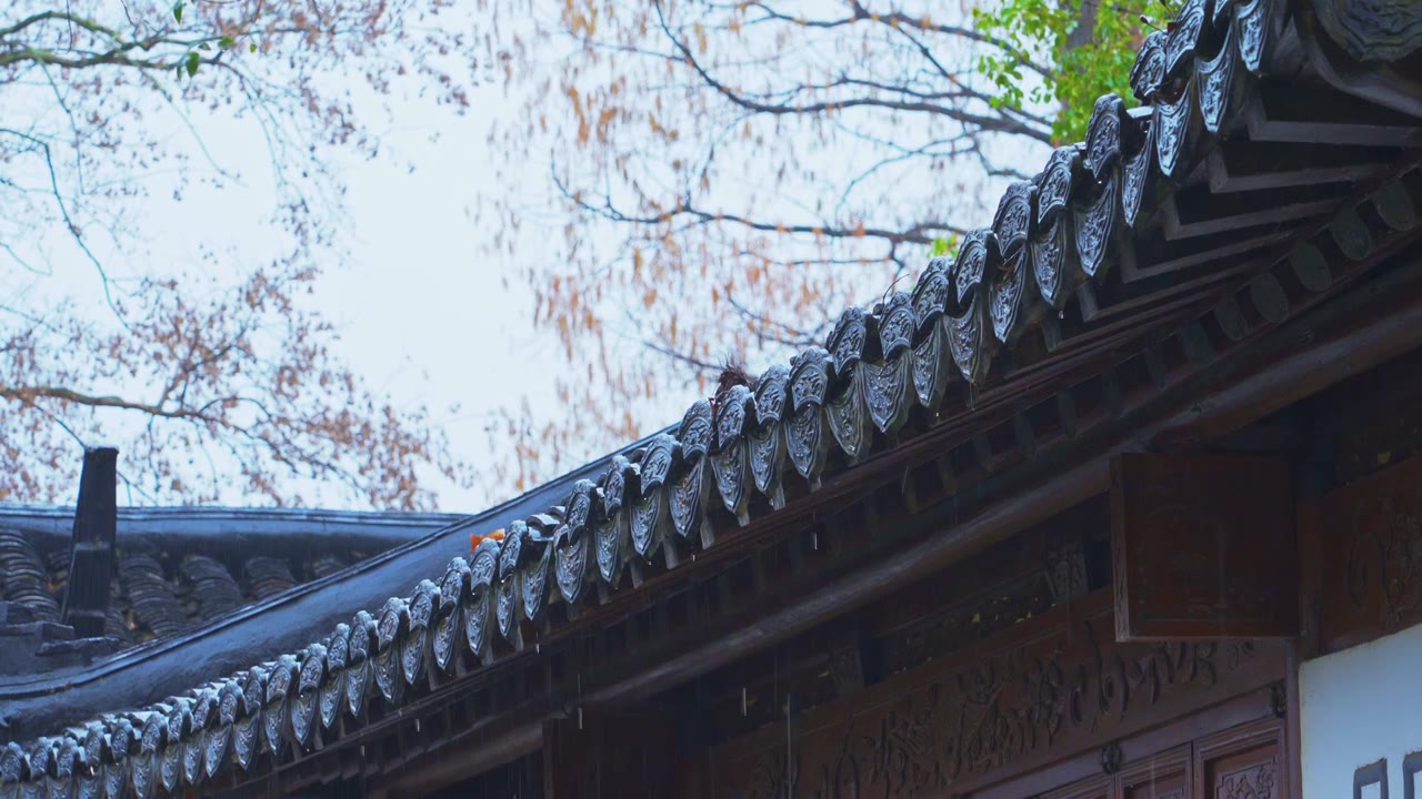 中国传统古典园林建筑杭州西湖郭庄雨天建筑风景视频素材