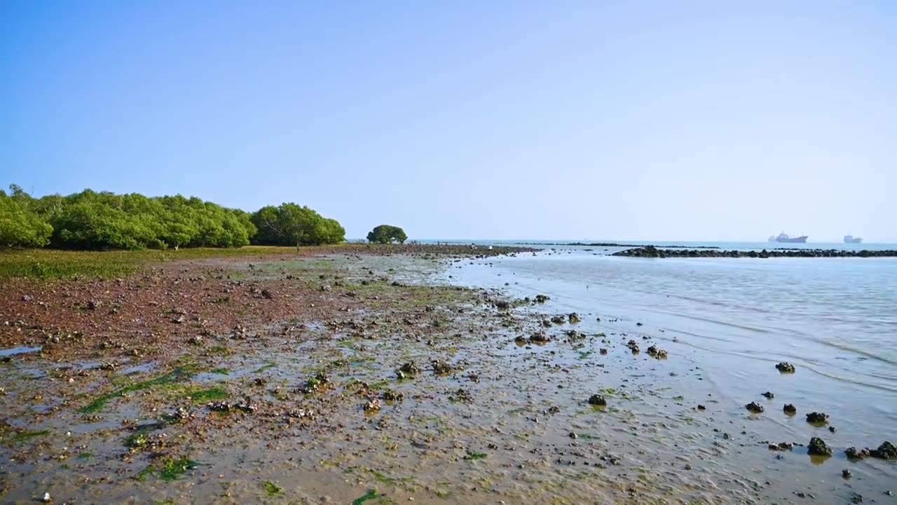 退潮后的海边滩涂视频素材