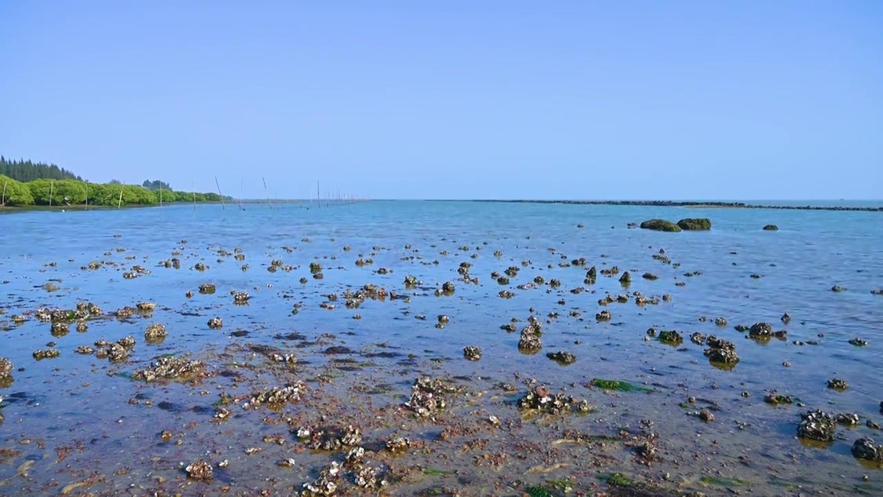 退潮后的海边滩涂视频素材