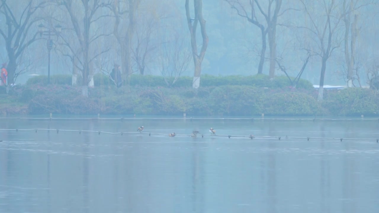 冬天阴雨天气中的杭州雾西湖自然建筑风景视频素材