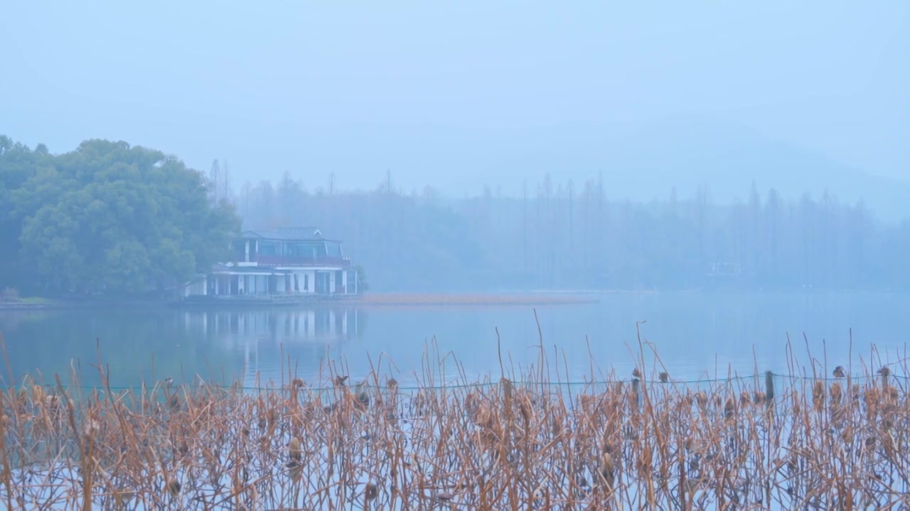 冬天阴雨天气中的杭州雾西湖自然建筑风景视频素材