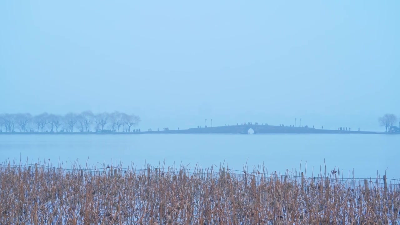 冬天阴雨天气中的杭州雾西湖自然建筑风景视频素材