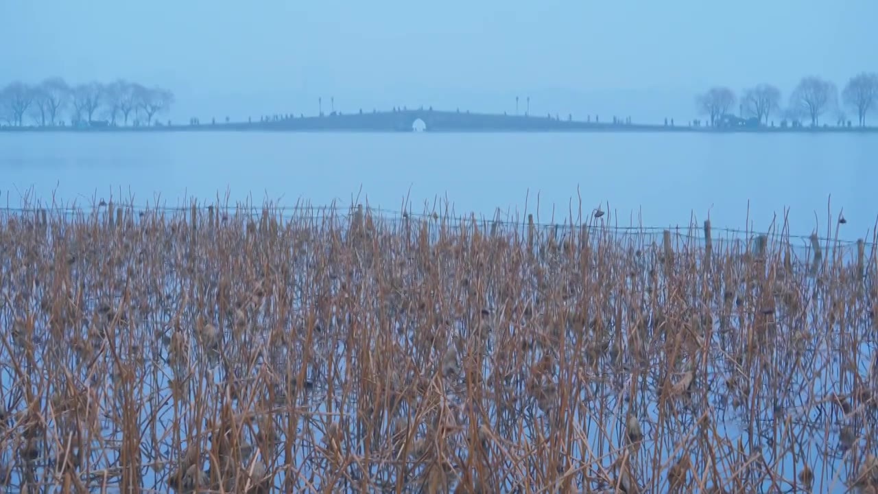 冬天阴雨天气中的杭州雾西湖自然建筑风景视频素材