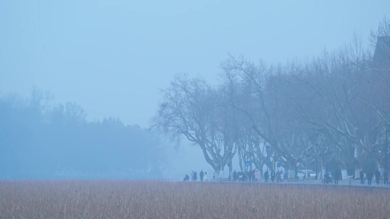 冬天阴雨天气中的杭州雾西湖自然建筑风景视频素材