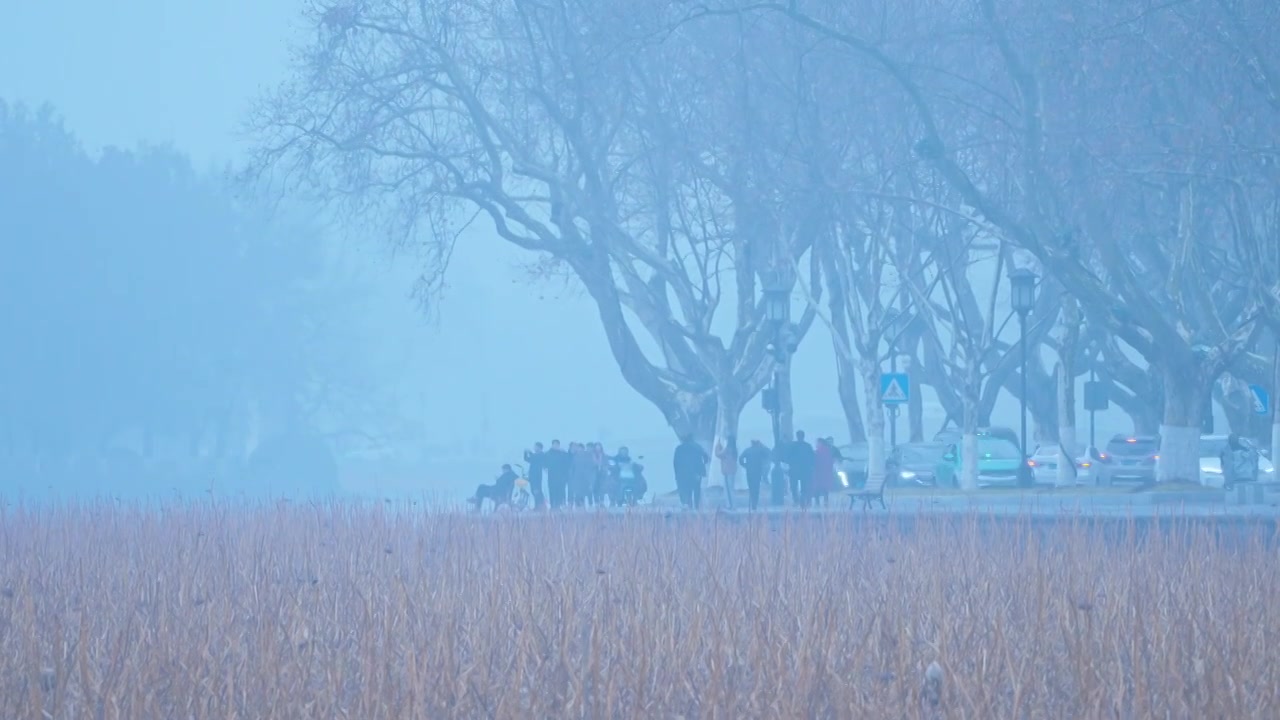 冬天阴雨天气中的杭州雾西湖自然建筑风景视频素材