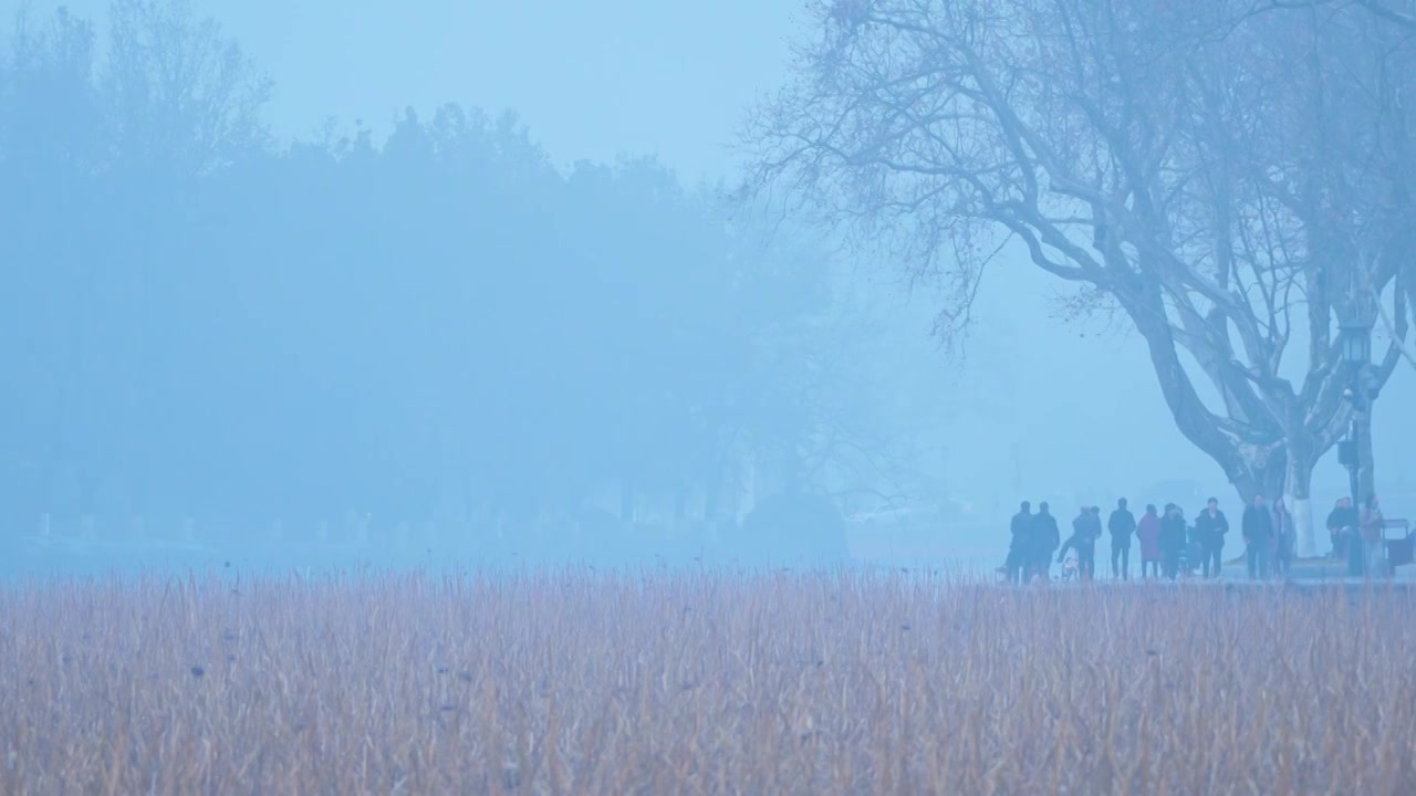 冬天阴雨天气中的杭州雾西湖自然建筑风景视频素材