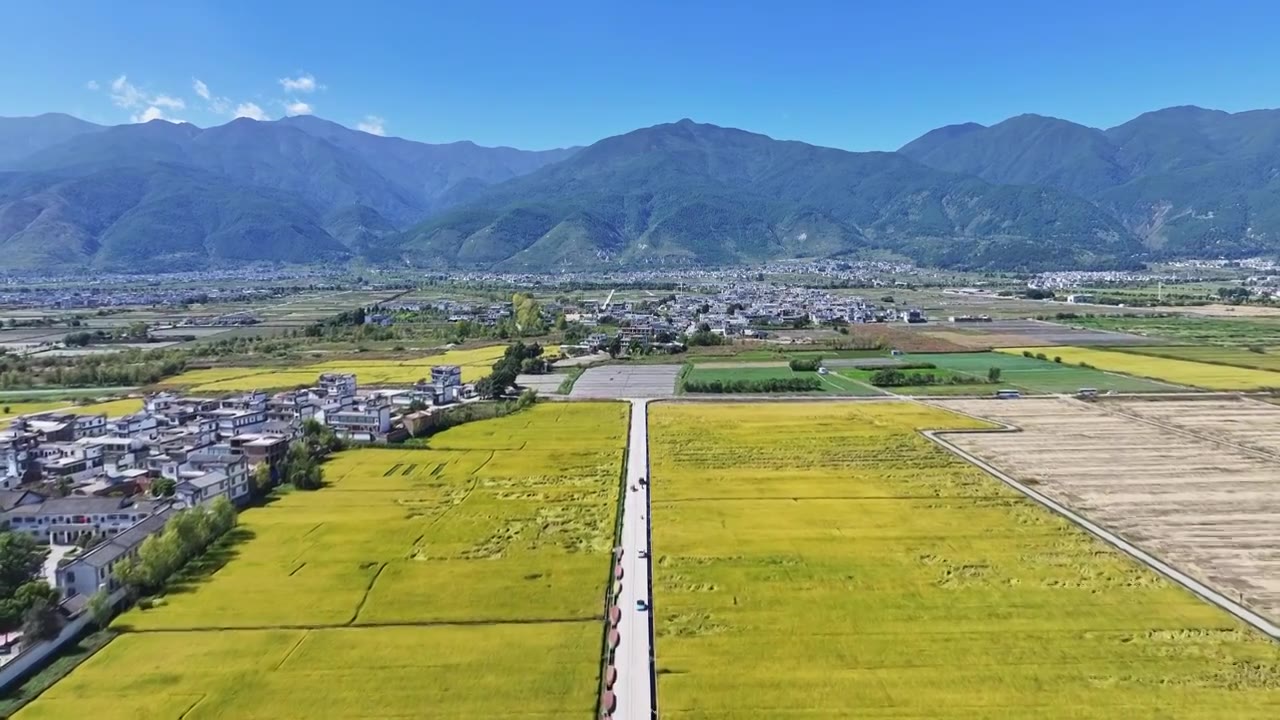 云南大理洱海白族古村落与稻田航拍视频素材