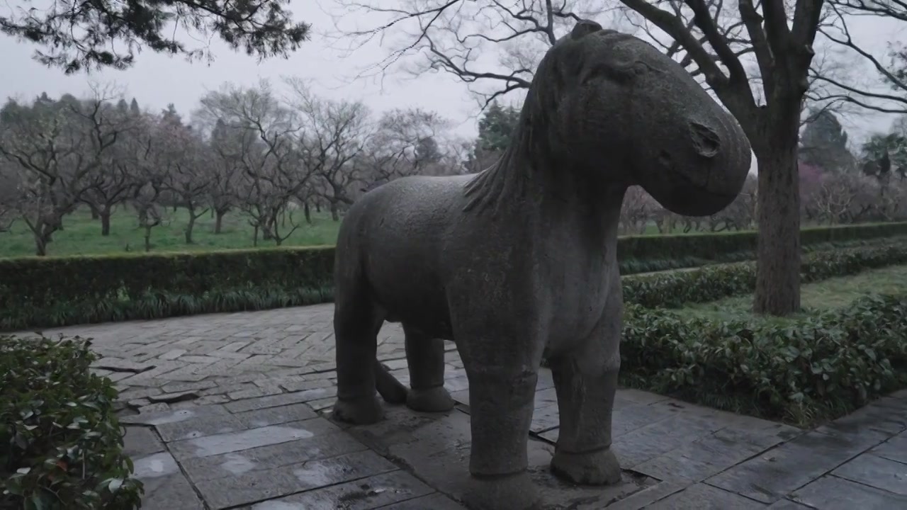 南京梅花山，梅花，博爱阁，雪中梅花山，神道，明孝陵，下雪，红楼，雪中明孝陵视频素材