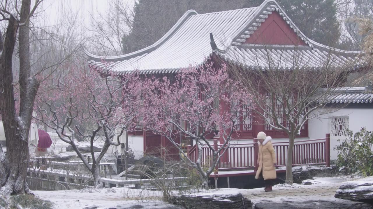 南京梅花山，梅花，博爱阁，雪中梅花山，神道，明孝陵，下雪，红楼，雪中明孝陵视频素材