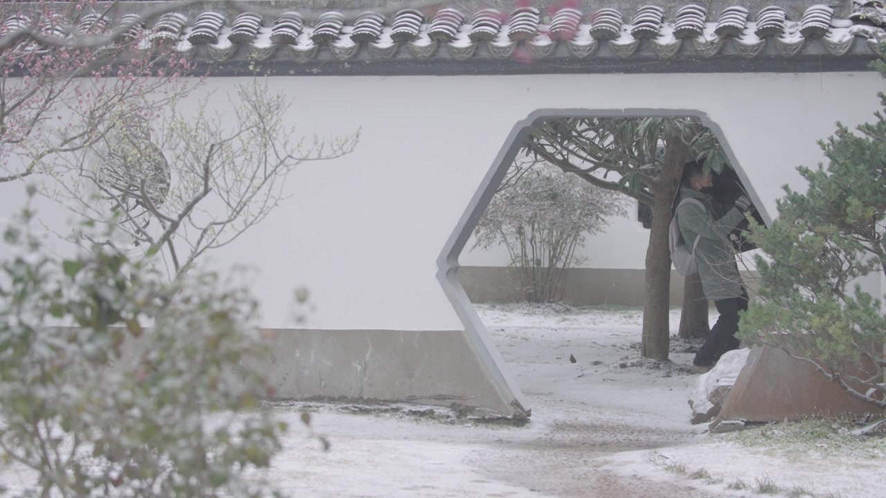 南京梅花山，梅花，博爱阁，雪中梅花山，神道，明孝陵，下雪，红楼，雪中明孝陵视频素材