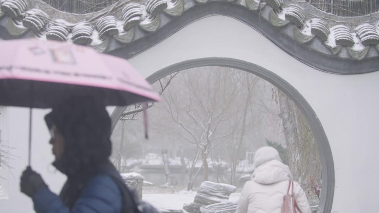 南京梅花山，梅花，博爱阁，雪中梅花山，神道，明孝陵，下雪，红楼，雪中明孝陵视频素材