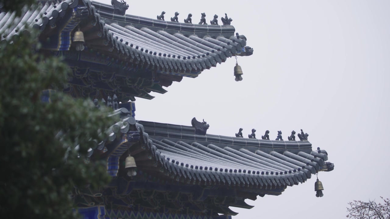 南京梅花山，梅花，博爱阁，雪中梅花山，神道，明孝陵，下雪，红楼，雪中明孝陵视频素材